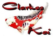 clarkes-koi-logo-125
