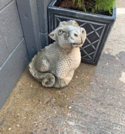 Solid Dragon
